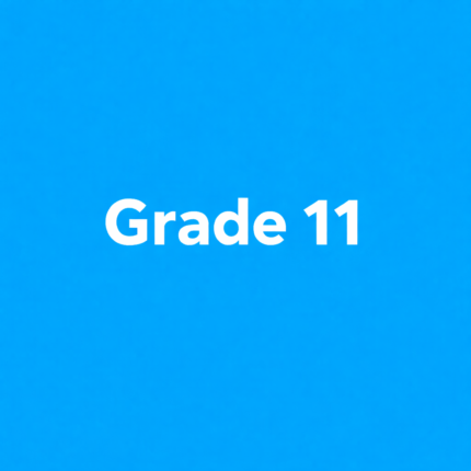 Grade 11